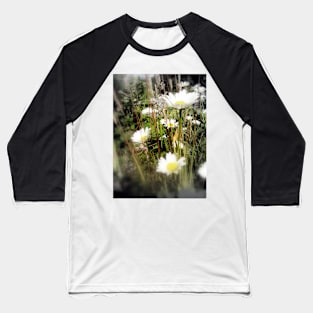 daisies 3 Baseball T-Shirt
